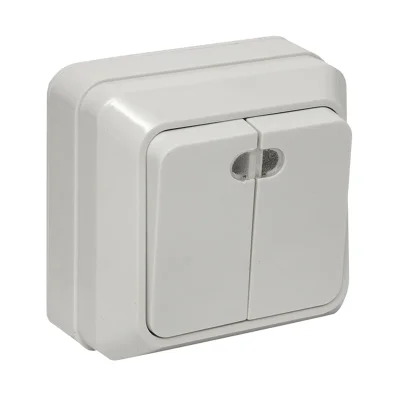 Рим Выключатель 2-клавишный с индикатором 10А белый EKF ENV10-123-10 фото 1